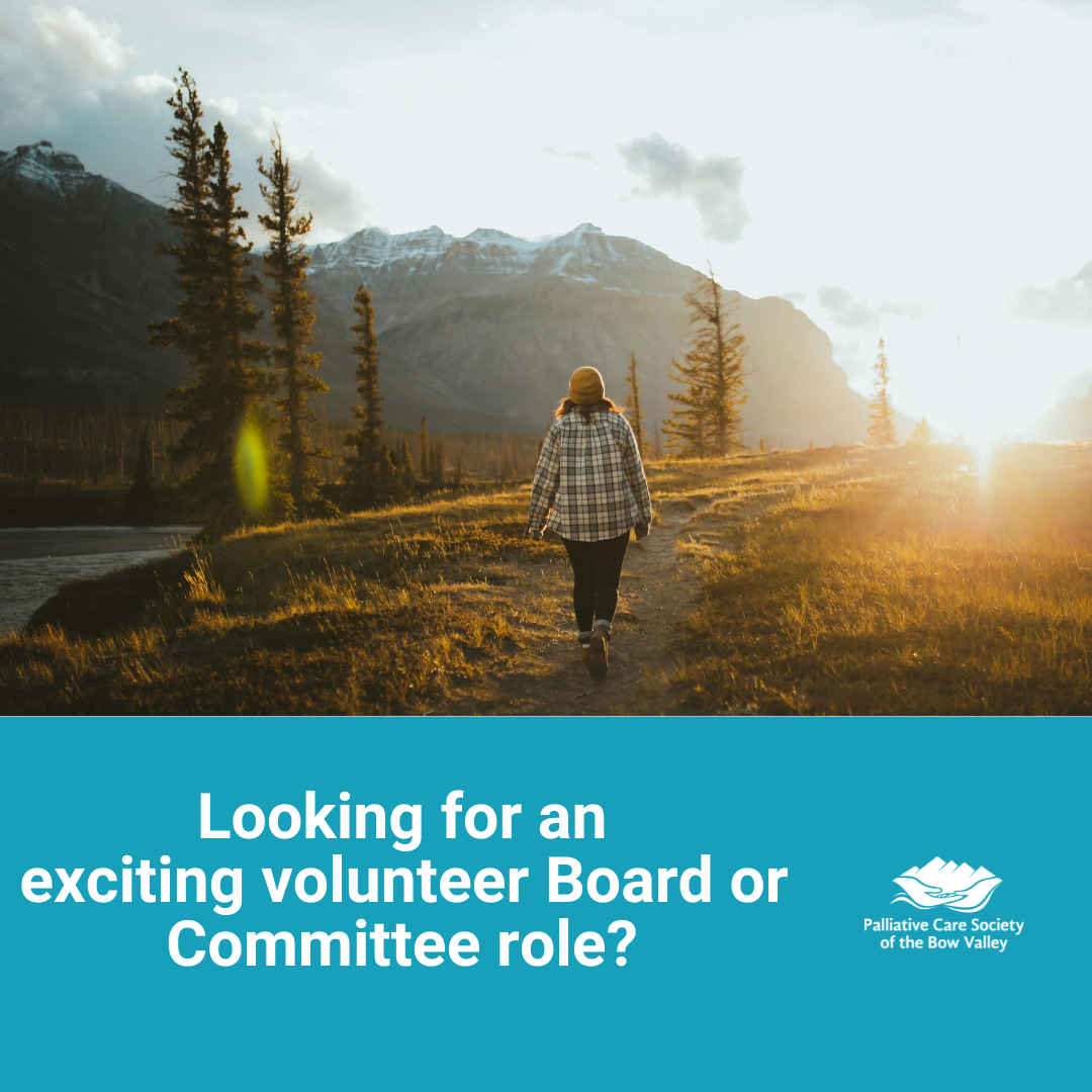 DRAFT 2025 PCSBV BOD Recruitment Ad V1 (1)
